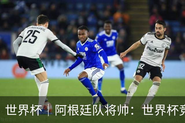 世界杯｜阿根廷队将帅：世界杯竞争越发激烈